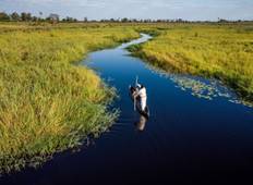 3-Day Okavango Delta & Boteti River Tented Safari Tour