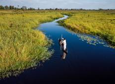 5-daagse Okavango Delta & Botetirivier Safari met Tent-rondreis