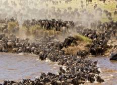 PRIVATE Wildebeest Calving Safari, Tanzania, January to March **Sustainable Approach to Travel Tour