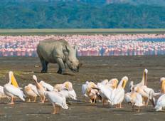 Kenya & Tanzania: The Safari Experience Tour