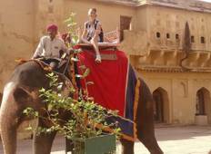Het beste van het bekoorlijke Jaipur-rondreis
