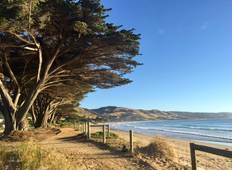 Great Ocean Road Trip (8 Days) Tour