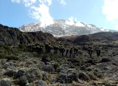Kilimanjaro bergtocht - Marangu route-rondreis