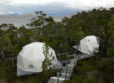 Glamping and whales at the End of the World - 3 days Tour
