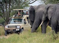 6-daagse safari Masai Mara, Lake Nakuru & Amboseli Nationaal Park - Middenklasse-rondreis