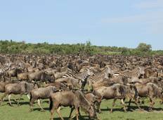 4-Daagse verbazingwekkende luxe safari: Lake Nakuru en Masai Mara Nationaal Reservaat-rondreis