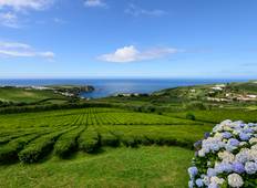 Portugal und seine Inseln inkl. die Küste von Estoril, Azoren und Madeira (Standard) (36 destinations) Rundreise