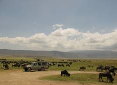 5-Days Masai Mara & Lake Nakuru Luxury Jeep Safari Tour