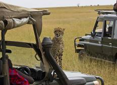 Prime Kenia Amboseli & Maasai Mara (alles inklusive) - 7 Tage Rundreise