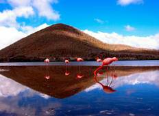 Monserrat Galapagos Cruise - Discover South East Islands in 4 Days Tour