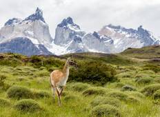 Chile - Patagonien 7 Tage W Trek in Torres Del Paine Rundreise