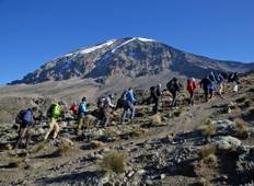 Mount Kilimanjaro Trekking Day Trip Tour
