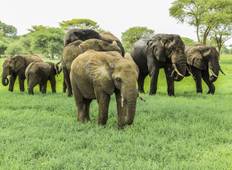 Tansania Northern Circuit Lodge Safari: Tarangire, Serengeti & Ngorongoro Rundreise