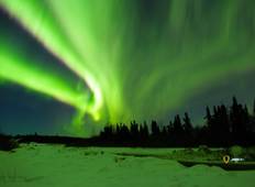 USA Alaska Rundreise: Nordlichter Winter Wonderland Rundreise