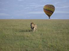 Maasai Mara Volledige Dag Fly in Safari-rondreis