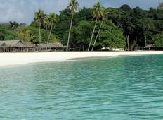 Vanuatu Expedition: Land Diving Festival Tour