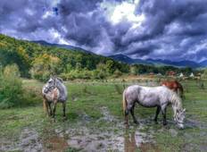 Via Dinarica hiking across Velebit, with a mountain ranch experience Tour