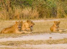3 dagen safari in het wild van de watervallen van Murchison-rondreis