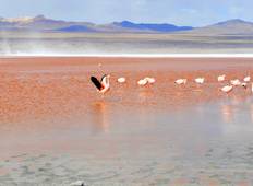 7-Day Bolivia Adventure to Salt Flats and Desert Rundreise
