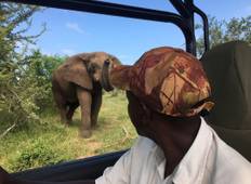 8 Days Safari tour itinerary for Makgadikgadi Pan, Maun & Nxai Pan National Park: Unite With The Wild Side Of Botswana Tour