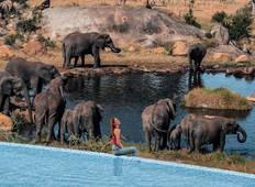 3-Day Famous Masai Mara Budget Camping Safari 2020-2021 Tour