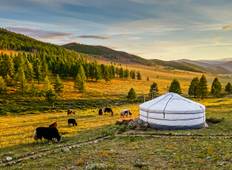 Mongolei Entdeckungsreise mit Ulaanbaatar, Chinggis-Stadt, Terelj und Wüste Gobi - 8 Tage Rundreise