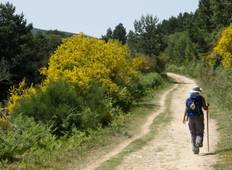 Nordspanien: Wandern entlang des Jakobswegs Rundreise