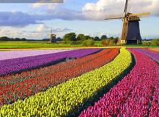 Best of Holland (Small Group, 7 Days) Tour