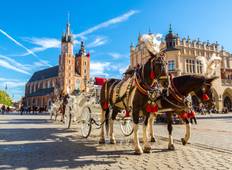 Discovering Poland Warsaw, Gdansk, Torun, Wroclaw & Krakow (Warsaw to Krakow) (Standard) Tour
