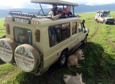 8-daagse rondreis: Arusha Nationaal park, Lake Manyara, Serengeti, Tarangire & Ngorongoro krater-rondreis