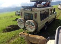 5-Daagse luxe Lodge Safari Serengeti Ngorongoro en Tarangire-rondreis