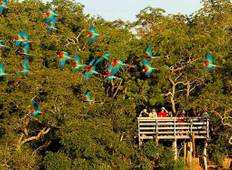Pantanal & Bonito Erlebnisreise - 6 Tage, 5 Nächte Rundreise