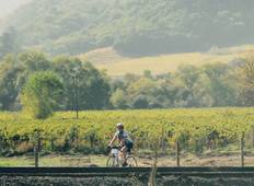 Cycle Sonoma & the Napa Valley Tour