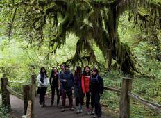 Verenigde Staten - Het beste van WA - North Cascades Olympic Mount Rainier National Parks-rondreis