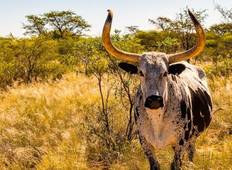 Erongo - 17 days Adventure Tour