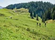 Österreich - auf dem Käseweg durch den Bregenzerwald (7 Tage) Rundreise