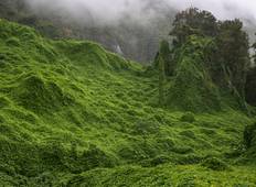 La Réunion - tropisches Inselparadies (10 Tage) Rundreise
