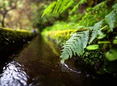 Madeira individuell - der Levada Trek (8 Tage) Rundreise