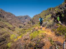 Wandel de hoogtepunten van La Palma (8 dagen)-rondreis
