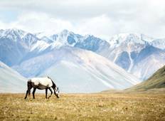 Kirgistan - Auf den Spuren der Bergnomaden (14 Tage) Rundreise