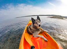 Hundefreundlicher Kurzurlaub in Istrien - am Land und im Wasser Rundreise