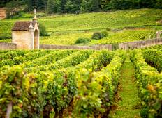 Wanderreise Burgund: Von Dijon nach Meursault Rundreise