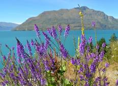 Rhythm and Alps (4 Days) Tour