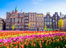 The Best of The Netherlands (port-to-port cruise) Tour