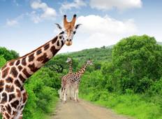 Best of Kruger National Park, Spanish-speaking guide, Private Tour Rundreise