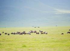 Tansania Safari - Serengeti und Ngorongoro Krater Budgetreise (4 Tage) Rundreise