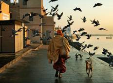 Northern India Tour with Varanasi Tour