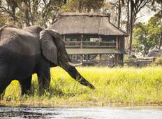 Victoria Falls, Chobe & Okavango Delta Luxury Fly In Safari Tour