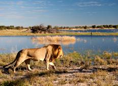 THE GREAT BOTSWANA EXPEDITION Tour