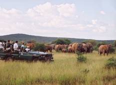 Besuchen Sie Kapstadt und fliegen Sie zum Kruger NP für eine 8-tägige Safari Rundreise